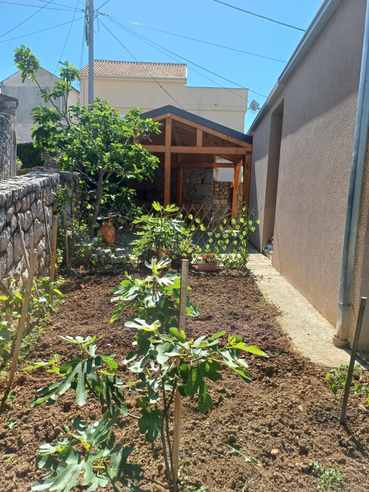 Apartmani Afrodita Crikvenica Eksteriør bilde