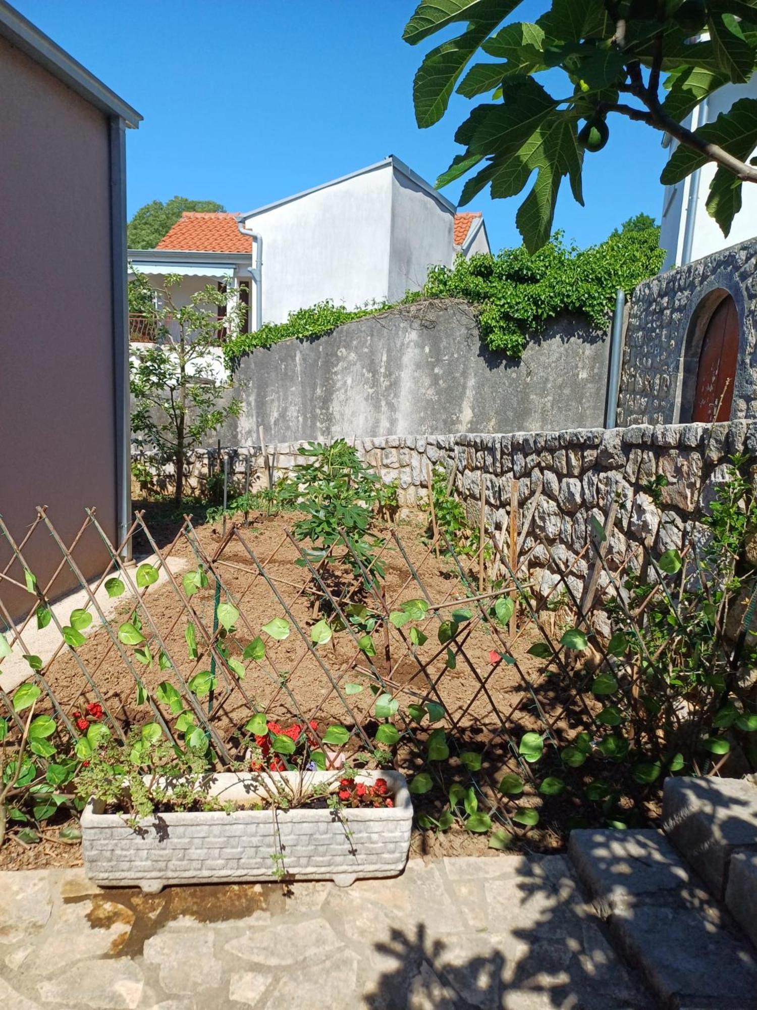 Apartmani Afrodita Crikvenica Eksteriør bilde